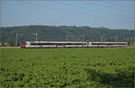 RBDe 560 272 und RBDe 560 300 bei Hendschiken, Juni 2025.