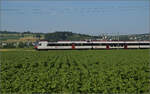 RBDe 560 286 bei Hendschiken, Juni 2025.