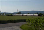 RBDe 560 300 und RBDe 560 272 bei Hendschiken, Juni 2025.
