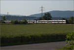 RBDe 560 300 und RBDe 560 272 bei Hendschiken, Juni 2025.