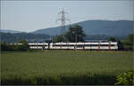 RBDe 560 303 und RBDe 560 285 bei Hendschiken, Juni 2025.
