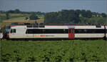 RBDe 560 285 bei Hendschiken, Juni 2025.