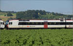 RBDe 560 285 bei Hendschiken, Juni 2025.