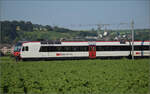RBDe 560 303 bei Hendschiken, Juni 2025.