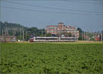 RBDe 560 303 und RBDe 560 285 bei Hendschiken, Juni 2025.