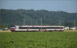 RBDe 560 286 bei Hendschiken, Juni 2025.
