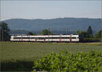 RBDe 560 286 bei Hendschiken, Juni 2025.