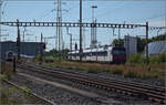 RBDe 560 296 in Pratteln.