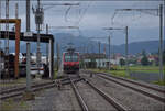 S8 nach Olten in Brittnau-Wikon.