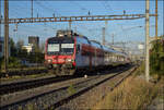 RBDe 560 273 in Pratteln.