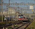 RBDe 560 273 in Pratteln.