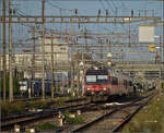 
RBDe 560 273 in Pratteln. August 2026.