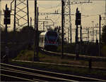 RABe 521 030 'République et Canton Jura' in Pratteln. August 2026.