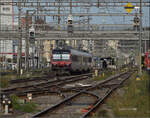 RBDe 560 273 in Pratteln.