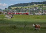 150 Jahre Emmentalbahn.