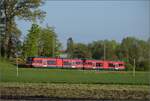 Auf der Biel-Tuffelen-Ins Bahn.

GTW Be 2/6 502 und GTW Be 2/6 507 der ASm bei Siselen. April 2022.