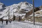 Auf der Alp Grüm.