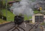 Ballenberg Dampfbahn nach Innertkirchen.