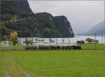 Ballenberg Dampfbahn nach Innertkirchen.