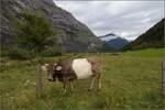 Beeindruckendes Urbachtal mit fast 2000 m hohen Felswänden.