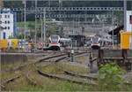 RABe 523 038 und RABe 523 036 Richtung Luzern in Emmenbrücke, in Gegenrichtung RABe 521 020 und RABe 523 038.