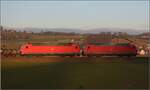 185 113 und 185 097 in Hendschiken.