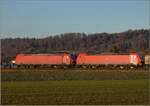 185 107 und 185 098 in Hendschiken.