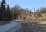 Pendelzug der SZU mit Re 456 105 zwischen Gattikon und Sihlwald.