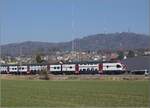 RABe 511 031 bei Wettswil.