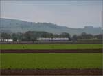 463 021 und 463 022.