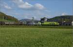Re 485 013 und Re 465 020.
