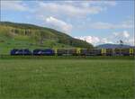 Re 430 111 WRS und Re 421 373 WRS mit einem beladenen Holzzug.