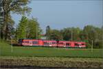 Auf der Biel-Tuffelen-Ins Bahn.