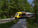 Abgesang auf die Taunus Elevated.

648 402 HLB VT202 am Bahnübergang Pionierweg zwischen der Saalburg und Köppern auf dem Weg nach Grävenwiesbach. Mai 2022.