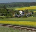 Abgesang auf die Taunus Elevated.

648 401 HLB VT201 bei Wehrheim auf dem Weg nach Bad Homburg. Mai 2022.