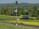 Abgesang auf die Taunus Elevated.

648 401 HLB VT201 bei Wehrheim auf dem Weg nach Bad Homburg. Mai 2022.