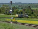 Abgesang auf die Taunus Elevated.

609 020 HLB VT20 und 609 018 HLB VT18 bei Wehrheim auf dem Weg nach Brandoberndorf. Mai 2022.