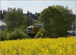Abgesang auf die Taunus Elevated.

648 410 HLB VT210 bei Wehrheim auf dem Weg nach Grävenwiesbach. Mai 2022.