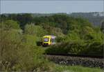 Abgesang auf die Taunus Elevated.

648 407 HLB VT207 bei Wehrheim auf dem Weg nach Grävenwiesbach. Mai 2022.