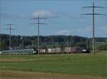 Vectron 193 718 der MRCE begegnet RABe 515 019 und RABe 515 038 bei Bollodingen.