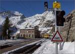 Auf der Alp Grüm.