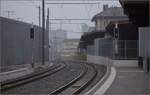 Der neue Halt der Appenzeller Bahn: St. Gallen Gterbahnhof. Februar 2023.