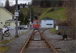 Ruderbach ist sogar ein richtiger Bahnhof mit Weiche. BDeh 1/2 1 'Liseli' fdelt in die Zahnstange ein. Februar 2023.