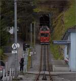 BDeh 1/2 1 'Liseli' macht sich auf den Weg in den Tunnel.