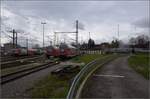 6-146-br-146-traxx-ac2/807390/heute-streiken-mal-nicht-fahrzeuge-weichen Heute streiken mal nicht Fahrzeuge, Weichen oder Signale, sondern die Mitarbeiter.

Die Abstellanlage des Bahnhof Konstanz in Kreuzlingen ist gut belegt. Von links 146 231 ohne einen streikenden Dosto-Steuerwagen, dafür mit 146 237(?) als Sandwich. 4010 005, versteckt RABe 521 208 'Singen', hintereinander RABe 521 203 und RABe 521 207, 146 239 und 146 230 jeweils mit Schwarzwaldbahnzug.

Dahinter fährt munter ein Thubo-GTW auf der Seelinie. Es wird zwar in der Schweiz auch gestreikt, aber nur vordergründig und nur auf diesem Bild. März 2023.