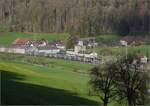 Einer der neuen 6-teiligen Mutz RABe 515 03x in Riedtwil Richtung Burgdorf.