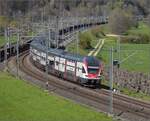 RABe 511 028 und RABe 511 110 bei Kaltenherberg.