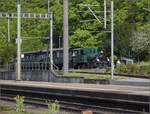 Shuttleservice beim Brauereifest Feldschlösschen. 

Das werkseigene Chnurrli E 2/2 5666 mit den Sihlthaler Plattform-Zweiachsern und E 3/3 8512 sind als Pendelzug unterwegs. Rheinfelden, April 2023.