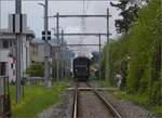 Rundfahrt vom Bodensee durchs Emmental mit 23 058 und Ae 4/7 11022.

An der Schienenkreuzung der Nationalbahn mit der Suhrentalbahn in Oberentfelden schiebt Ae 4/7 11026 mit. April 2023.