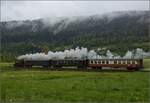 Vapeur Val-de-Travers: Train  Au fil de l'Areuse .